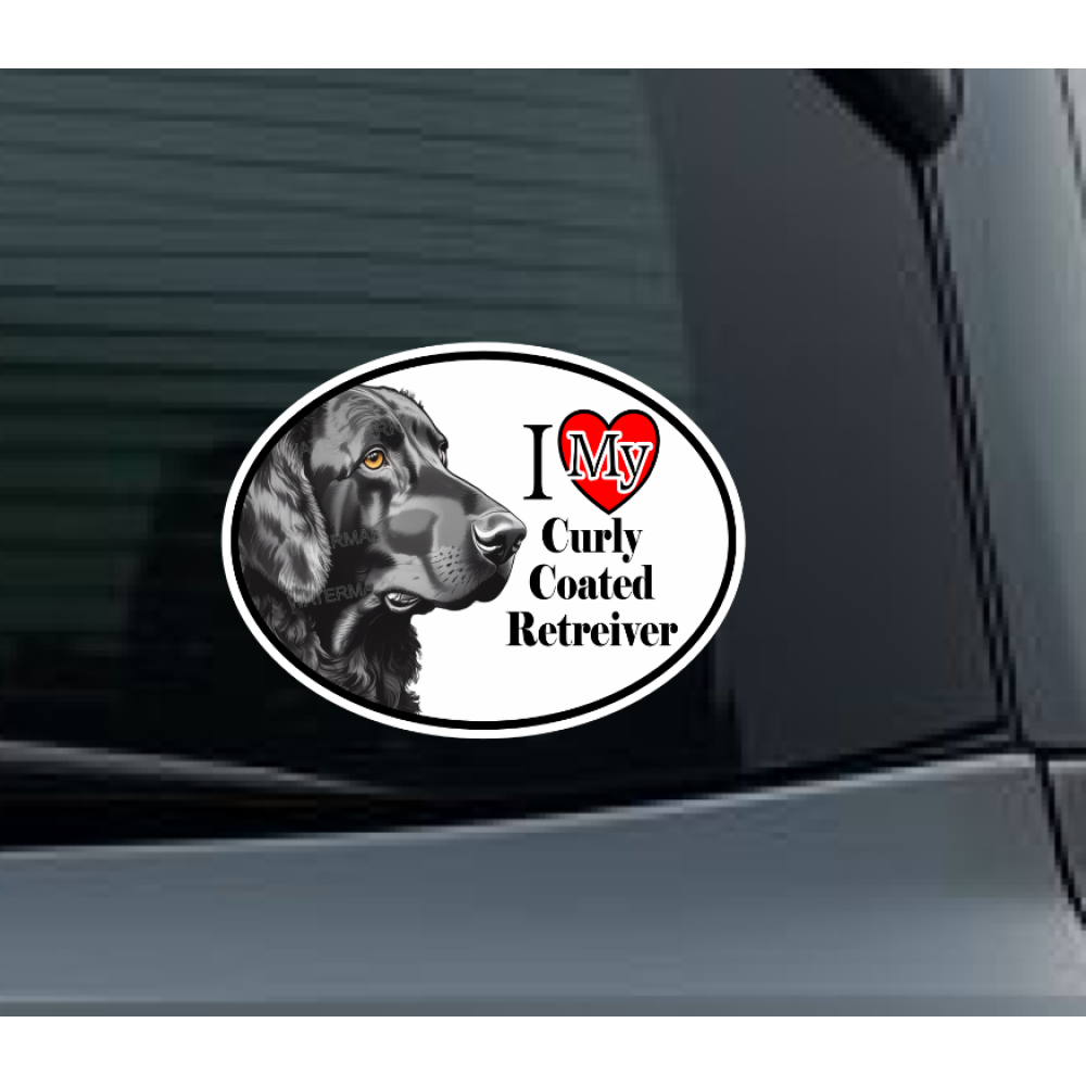 Curly Coated Retriever Dog Car Window Decal Sticker